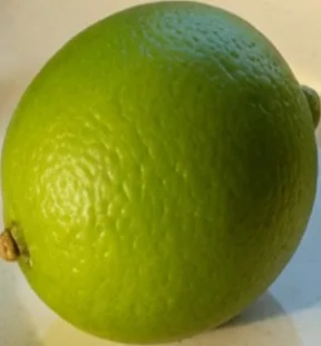 The same lime after the shared 1080 by 1920 fit, now 288 by 311